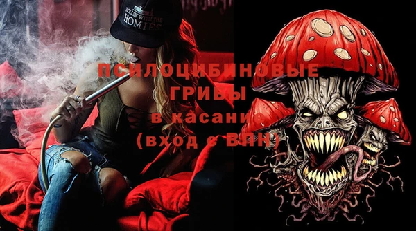 ГАЛЛЮЦИНОГЕННЫЕ ГРИБЫ Баксан