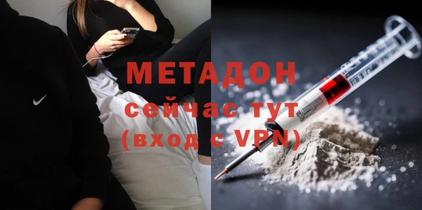 прущие грибы Балахна