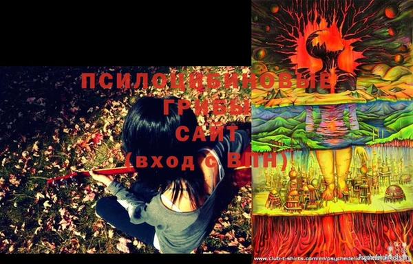 прущие грибы Балахна
