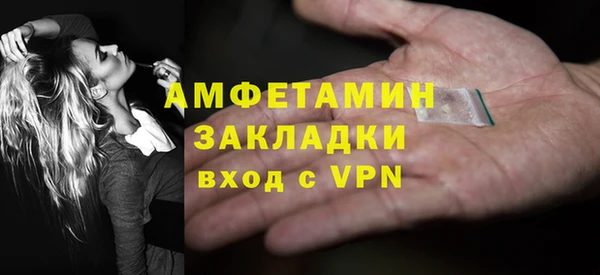 прущие грибы Балахна