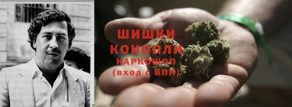 ГАЛЛЮЦИНОГЕННЫЕ ГРИБЫ Баксан
