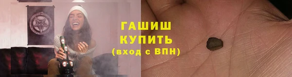 прущие грибы Балахна