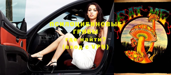 ГАЛЛЮЦИНОГЕННЫЕ ГРИБЫ Баксан