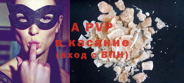 прущие грибы Балахна