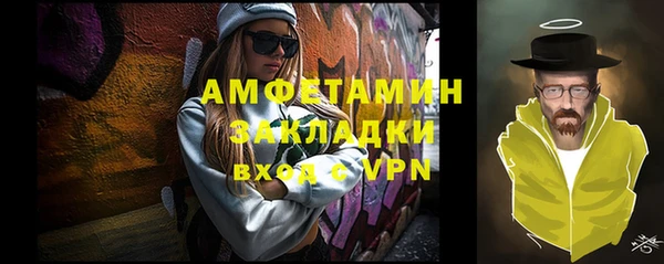 прущие грибы Балахна