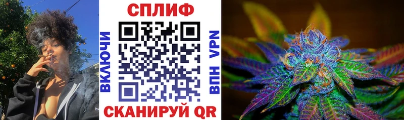 Конопля OG Kush Белёв